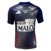Original Fußballtrikot Stade Brestois Ausweichtrikot 2024-25 Für Herren